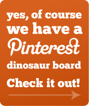 Look at our Pinterest boards!