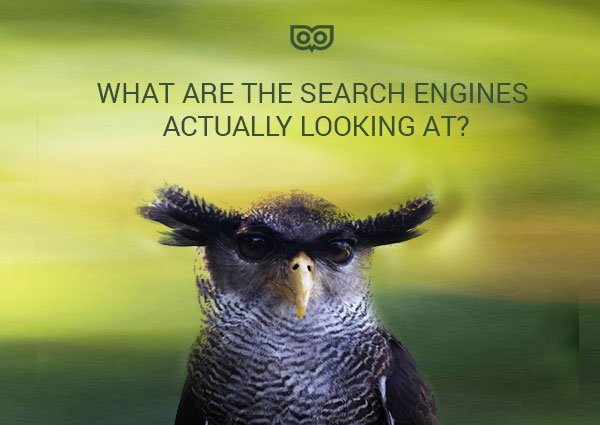 What are the search engines looking at?