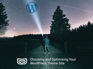 Choosing and optimising your WordPress theme site