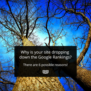 6 reasons your site might be dropping down the Google Rankings