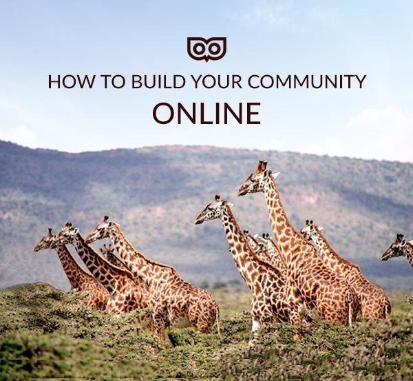 tips for building a community online