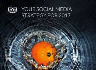 TLD in the press - 2017 social media strategy