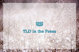 tld-press-update-nov2018-3