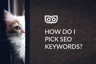 How to choose SEO Keywords