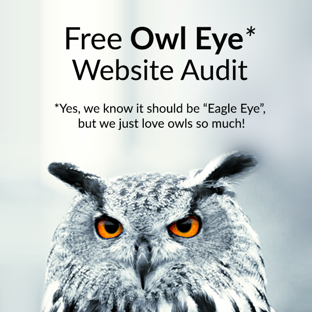 Owl Eye Audit - free