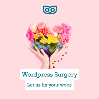 WordPress Surgery - let us fix your woes