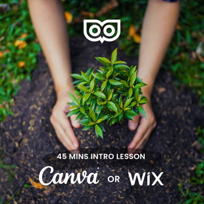 a 45 minute lesson offer - Wix or Canva