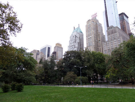 looking-out-central-park